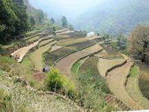 World Environment Day 2020: लॉकडाउन में मिल गया प्रकृति का खोया रूप