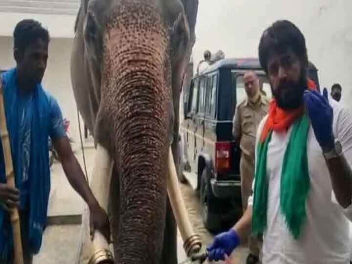 Ravi kishan statement on death of pregnant Elephant- ANN गर्भवती हथिनी की मौत से दुखी सांसद रवि किशन ने कहा- खत्‍म हो जाए दुनिया तो अच्‍छा होता