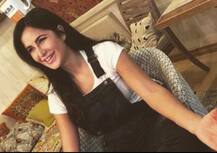 बेहद खूबसूरत है अभिनेत्री कैटरीना कैफ का घर, यहां देखें अंदर की तस्वीरें