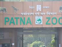 कल से खुलेगा पटना चिड़ियाघर, जाने के लिए इन नियमों का करना होगा पालन