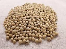 सोयाबीन एक मगर फायदे अनेक, जानिए इसमें विटामिन के अलावा कौन-कौन से हैं खनिज