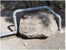 Viral Photo: आनंद महिंद्रा ने तस्वीर शेयर कर पूछा- 'इसे देखकर आपके दिमाग में सबसे पहले क्या आया?' लोगों ने ऐसे दी प्रतिक्रिया