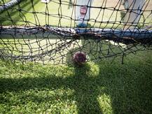 आयरलैंड क्रिकेट टीम ने की ट्रेनिंग की शुरूआत, जुलाई में होना है इंग्लैंड दौरा