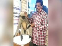 Viral Video: इलाज कराने के लिए क्लिनिक की सीढ़ियों पर बैठ गया घायल बंदर, फिर हुआ ये