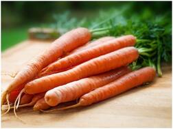 ये सब्जियां कैंसर के खतरे से बचाने में हैं सहायक, होते हैं कई एंटीऑक्सीडेंट्स