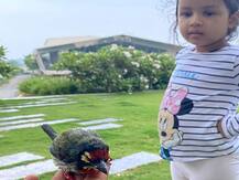 जीवा ने चिड़िया को घायल देखकर धोनी से लगाई बचाने की गुहार, माही ने ऐसे की मदद