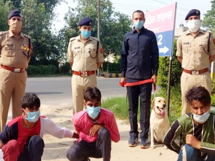 गाजियाबाद पुलिस की नई सुपर स्टार बनी डॉग स्क्वायड की 2.5 साल की लीना, इनाम में मिलेगा नया पट्टा और मुलायम गद्दा