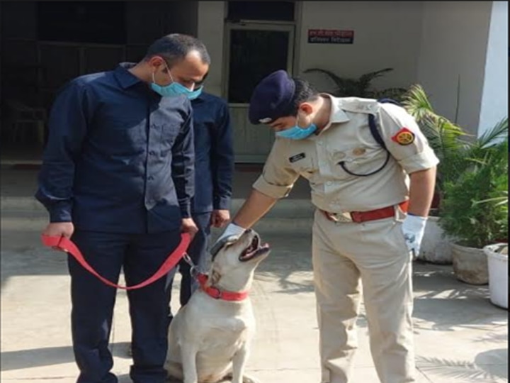 गाजियाबाद पुलिस की नई सुपर स्टार बनी डॉग स्क्वायड की 2.5 साल की लीना, इनाम में मिलेगा नया पट्टा और मुलायम गद्दा