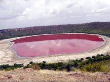 उल्कापिंड गिरने से बनी महाराष्ट्र की लोनार झील का पानी हुआ गुलाबी, रहस्य सुलझाने में जुटे वैज्ञानिक