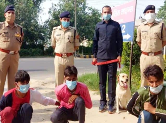 गाजियाबाद पुलिस की नई सुपर स्टार बनी डॉग स्क्वायड की 2.5 साल की लीना, इनाम में मिलेगा नया पट्टा और मुलायम गद्दा
