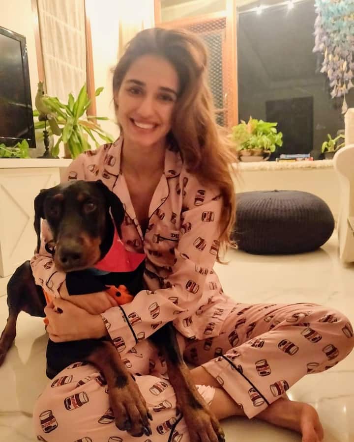  दिशा पाटनी शिवसेना की युवा सेना के अध्यक्ष आदित्य ठाकरे की भी अच्छी दोस्त हैं.  दिशा और आदित्य डिनर के लिए मुंबई के बे रूट रेस्टोरेंट में  जा चुके हैं. 