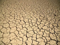 गंगा पर बने एक चौथाई जल निकाय गए हैं सूख, सर्वे की रिपोर्ट में हुआ चौंकाने वाला खुलासा