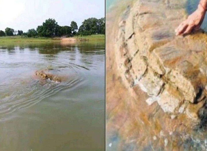 500 years old temple of Lord Vishnu from the river in odisha ओड़िशा: नयागढ़ की पद्मावती नदी से निकला भगवान विष्णु का 500 साल पुराना मंदिर, पढ़ें पूरी खबर