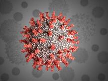 ऊधम सिंह नगर: कोरोना संक्रमितों की संख्या बढ़कर हुई 114, दो मरीजों ने तोड़ा दम