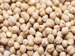 प्रोटीन से भरपूर होते हैं सफेद चने, मोटापा और हड्डियों की कमजोरी को करते हैं दूर