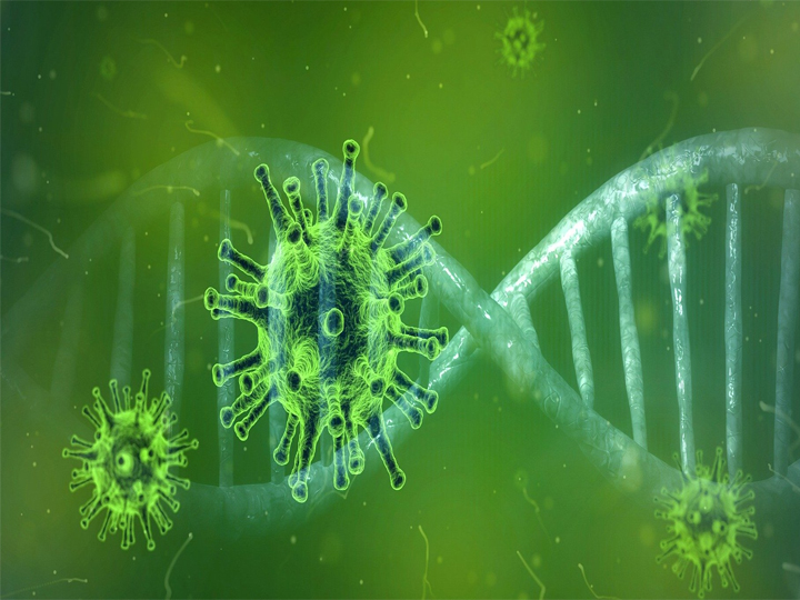 यूपी में 24 घंटे में निकले कोरोना के 591 नए केस, 19 मरीजों ने तोड़ा दम Coronavirus 591 new cases found in UP 19 patients died in last 24 hours
