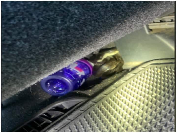 Lady driver abandons car on highway on finding snake, then what happend next Shocking: अमेरिका में महिला की कार में कुंडली मारकर बैठ गया सांप, तस्वीर सामने आई