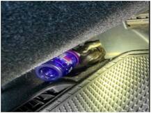 Shocking: अमेरिका में महिला की कार में कुंडली मारकर बैठ गया सांप, तस्वीर सामने आई