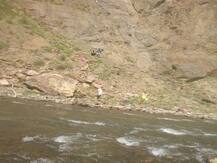 जम्मू: डोडा के अस्सर इलाके में 300 फीट गहरी खाई में गिरी कार, 5 लोगों की मौत