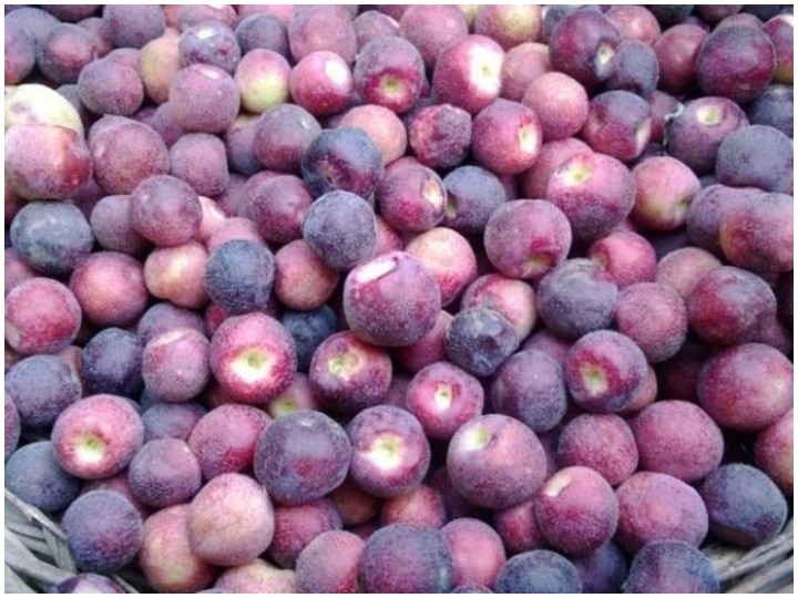 Health Benefits of Falsa or Phalsa Fruit Medicinal properties Good For digestion process औषधीय गुणों से भरपूर फालसा खाने से सेहत को मिलते हैं ये 5 फायदे