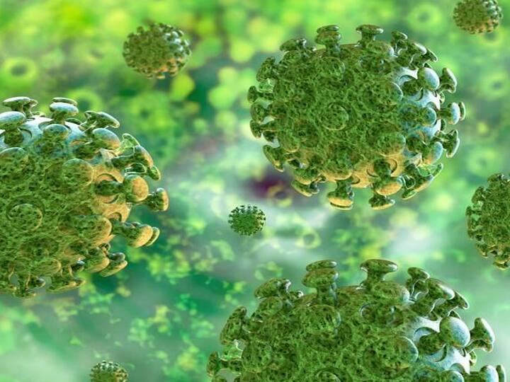 China: Scientists find COVID-19 antibodies fade quickly चीन: कोरोना वायरस को हराने वाली एंटी बॉडीज तीन महीने में रह जाती हैं बहुत कम, रिसर्च में हुआ खुलासा