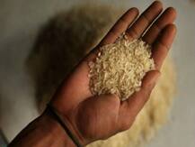 मुफ़्त अनाज योजना में पलीता लगा रहे कई राज्य, देर से बांट रहे ग़रीबों को अनाज- पीएम मोदी ने बढ़ाने का किया था ऐलान