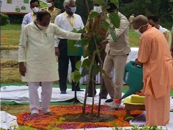 उत्तर प्रदेश ने 26 करोड़ पौधे लगाकर रचा कीर्तिमान, सीएम योगी बोले- सभी को बधाई