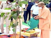 उत्तर प्रदेश ने 26 करोड़ पौधे लगाकर रचा कीर्तिमान, सीएम योगी बोले- सभी को बधाई