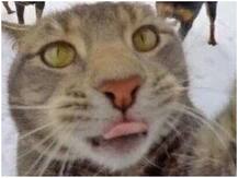 कोरोना के बाद चीन में एक और नई आफत, थ्री लेवल वार्निंग जारी करके लोगों को किया गया सावधान