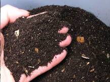 उत्तराखंड: खेत में ही किसान तैयार कर रहे हैं खाद, इस पुलिस अधिकारी ने किया प्रेरित