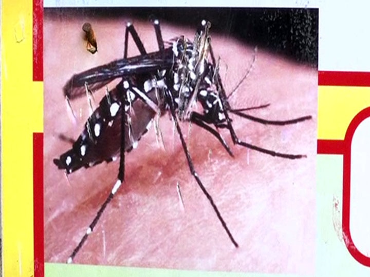 उत्तराखंड: देहरादून में डेंगू की रोकथाम के लिए प्रशासन ने कसी कमर, पूरे शहर में चलेगा महा अभियान