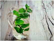 बारिश और गर्मी में पुदीना वॉटर पीने से त्वचा रहेगी खिली-खिली, जानिए क्या हैं फायदे