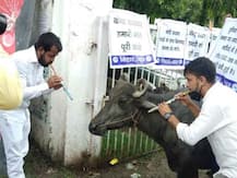 पटना: कांग्रेस के छात्र संगठन NSUI का UGC के खिलाफ अनूठा प्रदर्शन- भैंस के आगे बीन बजाकर जताया विरोध