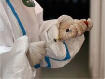 कोरोना वायरस की स्वदेशी वैक्सीन कब तक आएगी? जानिए सबसे बड़े सवाल का जवाब