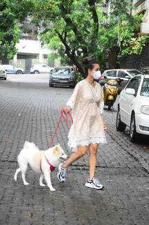 Spotted: कोरोना महामारी के बीच वन पीस ड्रेस में कुत्ते को घुमाती मुंबई की सड़को पर दिखी मलाइका अरोड़ा, देखिए तस्वीरें