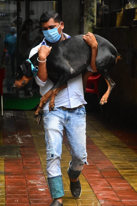 Disha Patani seen shopping outside the house amid Corona crisis, these pictures have surfaced