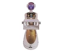 देश की पहली ‘रोबोट फैमिली’ दफ्तरों, अस्पतालों में काम करने को तैयार, जानें खासियतें