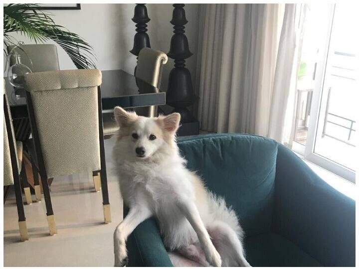 ये 6 तस्वीरें आपको मलाइका अरोड़ा के खूबसूरत घर की सैर करवाएंगी