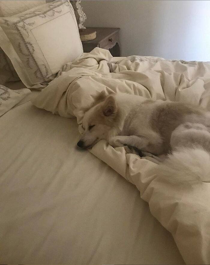 ये 6 तस्वीरें आपको मलाइका अरोड़ा के खूबसूरत घर की सैर करवाएंगी