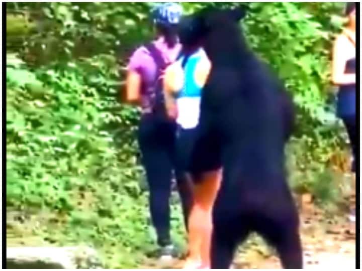 Viral Video: A bear sniffing hiker who poses for a selfie with animal Viral Video: भालू ने सेल्फी ले रही लड़की के साथ कुछ किया ऐसा, जिससे मच गई सनसनी- देखें वीडियो
