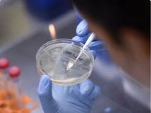 Corona Vaccine: चीन निर्मित वैक्सीन का परीक्षण ब्राजील में आखिरी स्टेज पर पहुंचा, तीन महीने तक चलेगा ट्रायल