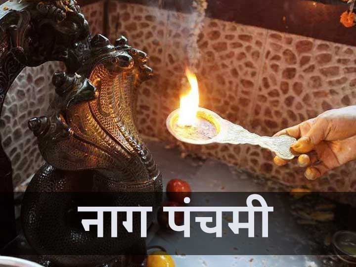 Nag Panchami 2020 To get rid of Kaal Sarp dosha Puja Nag Panchami for eight snakes Nag Panchami 2020: काल सर्प दोष से मुक्ति पाने के लिए नाग पंचमी को करें आठ नागों की पूजा, जानें विधि