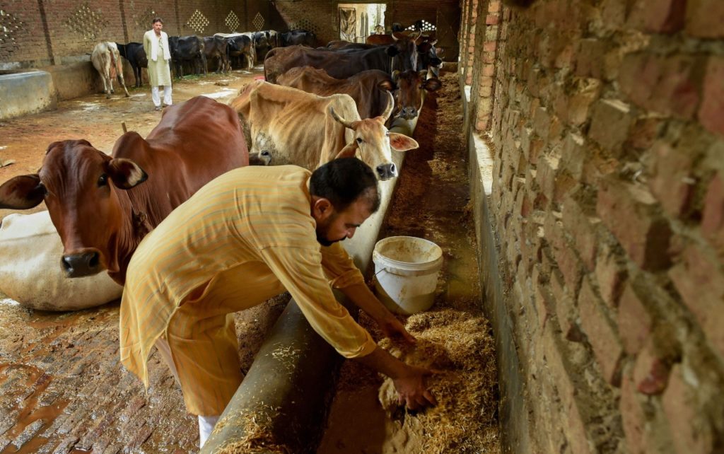 बबन मियां ने अपनी गौशाला का नाम भगवान कृष्ण के नाम पर रखा, कहा- गंगा-जमुनी तहज़ीब में यकीन