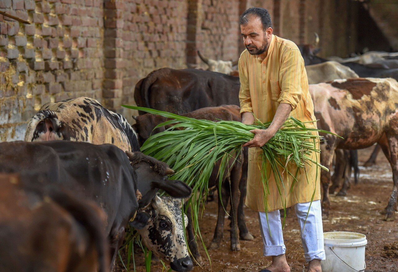 बबन मियां ने अपनी गौशाला का नाम भगवान कृष्ण के नाम पर रखा, कहा- गंगा-जमुनी तहज़ीब में यकीन