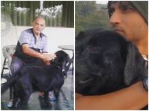 PIC: सुशांत सिंह के पिता के साथ घुल-मिल रहा है उनका पेट डॉग फज, सामने आई बेहद खास तस्वीर