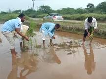 ग्रेटर नोएडा: बारिश के बाद सड़कों के गड्ढों में भरा पानी, सामाजिक संगठन ने धान का पौधा लगाकर किया अनूठा विरोध