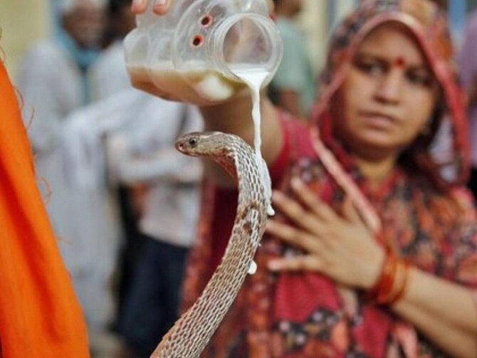 Know Why Nag Panchami Is Important For The Devotees Of Lord Shiva | Nag  Panchami 2020: जानिए क्यों भगवान शिव के भक्तों के लिए महत्वपूर्ण है नाग  पंचमी