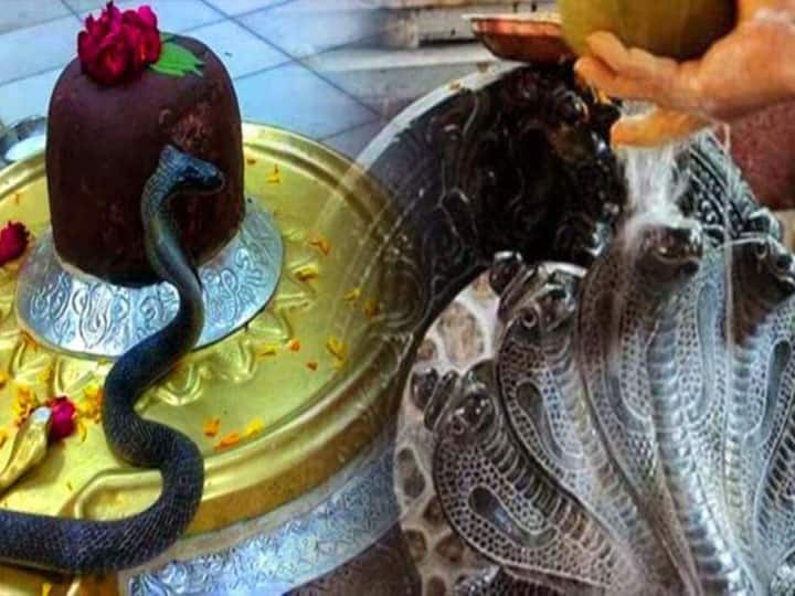 nag panchami 2020 devotees worship in temples prayagraj uttar pradesh यूुपी: प्रयागराज में नाम पंचमी के पर्व पर दिखा कोरोना महामारी का असर, मंदिरों में नहीं नजर आई भीड़