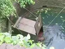 Viral Video: महाराष्ट्र में पानी से भरे कुएं में रात भर फंसा रहा तेंदुआ, जानिए फिर क्या हुआ