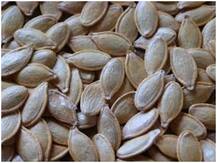 कद्दू के बीज को मामूली समझने की न करें भूल, इसमें छिपे हैं अच्छी सेहत के कई राज